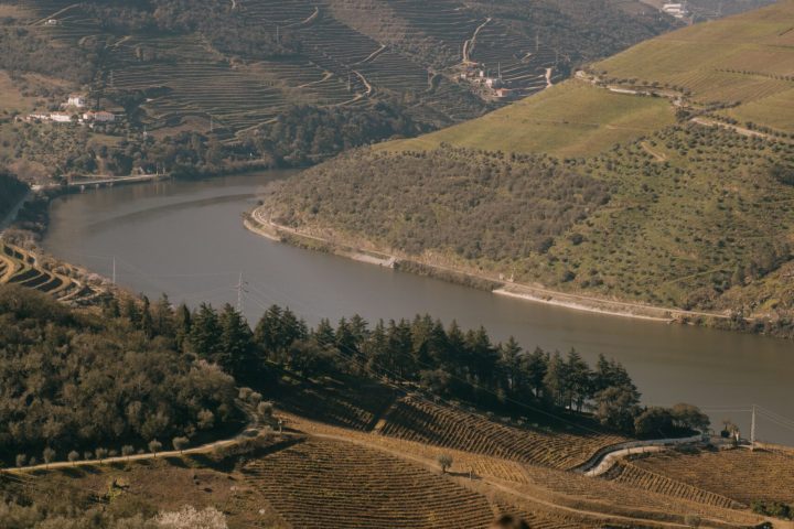 couple at douro valley.